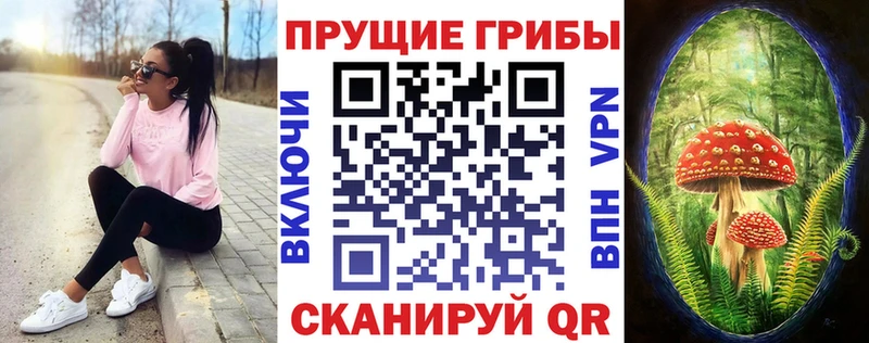 Купить  Находка  Галлюциногенные грибы GOLDEN TEACHER 